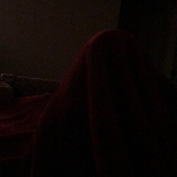 Meet your Posher, Max - Picture 1 of 1